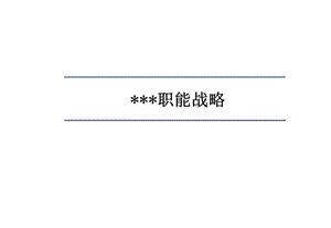 職能戰(zhàn)略報(bào)告(存儲版)