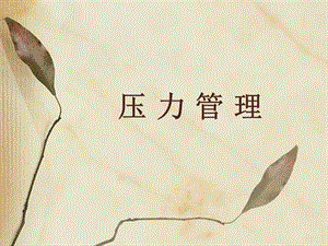 職場(chǎng)精品-壓力管理-自我調(diào)節(jié)(更新版)