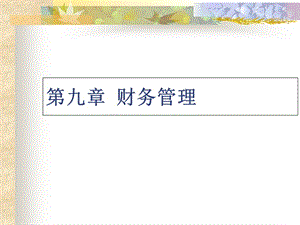財務(wù)管理概述(ppt-30頁)-全文預(yù)覽