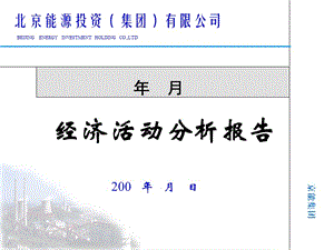 經濟活動分析模板(文件)