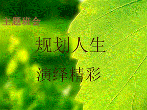 職業(yè)生涯規(guī)劃主題班會-展示頁