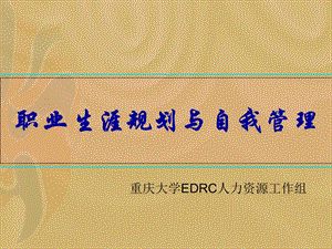 職業(yè)生涯規(guī)劃實(shí)際操作實(shí)施案例(存儲(chǔ)版)