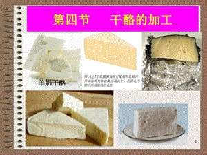 第八章-發(fā)酵乳制品——奶酪-資料下載頁