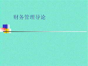 財務(wù)管理導論(ppt-34頁)(存儲版)