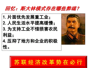 蘇聯(lián)的經(jīng)濟(jì)體制改革-全文預(yù)覽