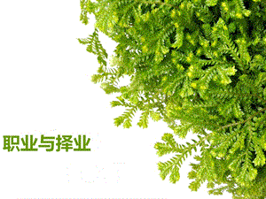 職業(yè)與擇業(yè)概述-免費(fèi)閱讀