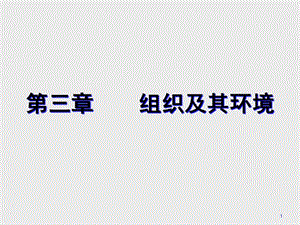 第三章-組織及其環(huán)境-預(yù)覽頁