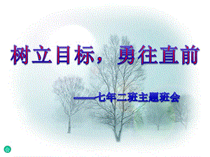 【新整理】明確目標(biāo)主題班會(huì)ppt課件(留存版)