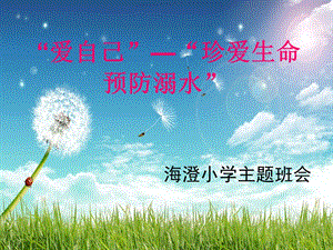 珍愛生命預(yù)防溺水主題班會課件(更新版)