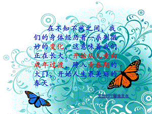青少年青春教育主題班會課件ppt(文件)