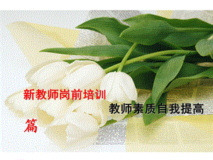 新教師崗前培訓(xùn)自學(xué)篇-全文預(yù)覽