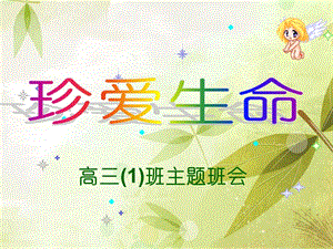 【新版】高三主題班會安全教育ppt(編輯修改稿)