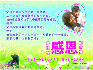 【新版】《尊老愛幼班會(huì)》ppt課件-在線瀏覽