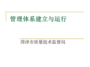 資質(zhì)實驗室質(zhì)量管理體系建立與運行(參考版)