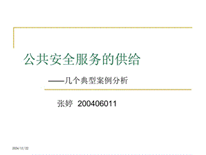 公共安全服務(wù)的供給(存儲版)