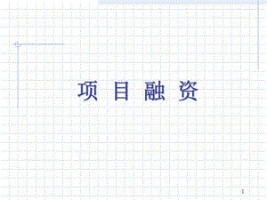 項(xiàng)目融資及項(xiàng)目貸款評估方法簡介0924(存儲版)