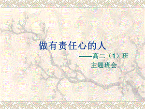 主題班會做有責任心的人(存儲版)