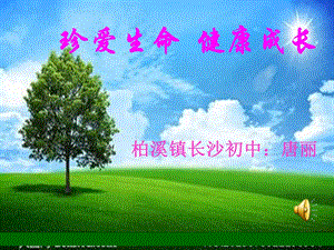 【新整理】七年級(jí)2班主題班會(huì)ppt課件(更新版)