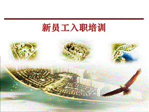新員工入職培訓(xùn)-物業(yè)管理基礎(chǔ)知識與職業(yè)前景(專業(yè)版)