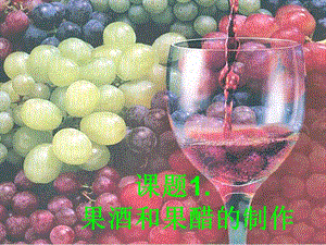 選修一專題一果酒和果醋的制作-wenkub
