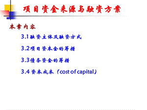 項目資金來源與融資方案(完整版)