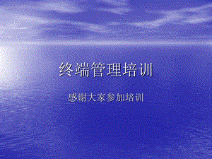 《終端管理培訓(xùn)》ppt課件(已修改)