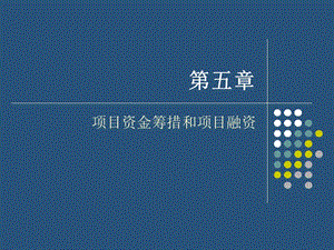 項目資金籌措和項目融資(完整版)