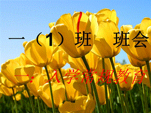 小學(xué)一年級主題班會(huì)精品《入學(xué)常規(guī)教育》-在線瀏覽