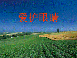 【新整理】幼兒園大班保護(hù)眼睛(文件)