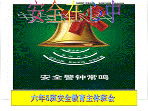 【新版】安全主題班會：安全在心中ppt-展示頁