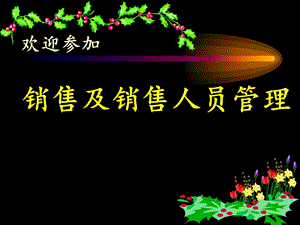 銷售及銷售人員管理-預(yù)覽頁