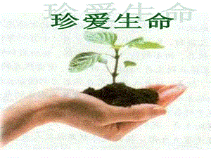 小學(xué)五年級(jí)《珍愛生命》主題班會(huì)(更新版)