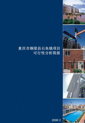 重慶市銅梁縣石魚鎮(zhèn)項(xiàng)目可行性分析-政府版-14ppt(已修改)