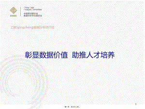 項(xiàng)目數(shù)據(jù)分析師介紹(精品ppt)(存儲版)