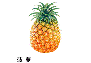 幼兒園——水果圖片(已修改)