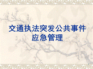 《交通應(yīng)急培訓(xùn)》ppt課件(更新版)