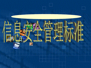 計(jì)算機(jī)信息安全管理標(biāo)準(zhǔn)(專業(yè)版)