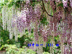 與不良的行為習(xí)慣告別主題班會(huì)-全文預(yù)覽
