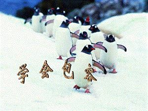 《學(xué)會包容主題班會》ppt課件(已改無錯字)