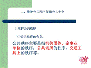 【新整理】維護(hù)社會管理秩序保障公共安全-閱讀頁
