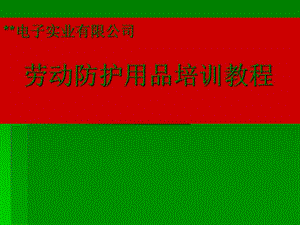 勞動防護用品培訓(xùn)教程-全文預(yù)覽