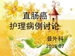 【新整理】普外科直腸癌護理病例討論ppt課件-文庫吧在線文庫
