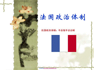 《法國(guó)政治制度》ppt課件-預(yù)覽頁(yè)