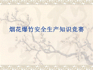 煙花爆竹安全生產(chǎn)知識競賽(留存版)