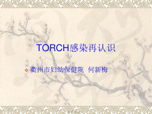torch感染再認(rèn)識(shí)-閱讀頁(yè)