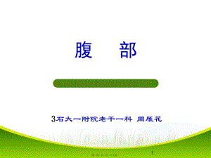 健康評(píng)估腹部(文件)