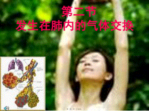 發(fā)生在肺內(nèi)的氣體交換ppt(存儲(chǔ)版)