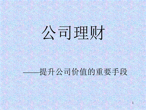 1、公司理財(cái)概論(已改無(wú)錯(cuò)字)