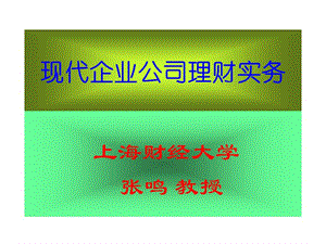 現(xiàn)代企業(yè)公司理財(cái)實(shí)務(wù)-ppt126(已改無錯(cuò)字)