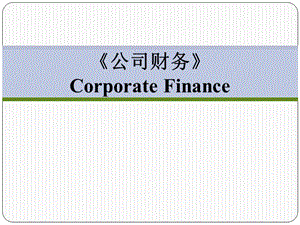 公司理財精要版第10版chap09(文件)